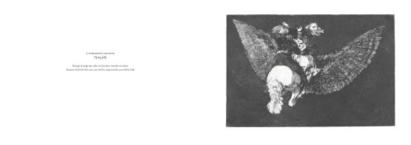 Book cover of The Follies: Los Disparates/Los Proverbios. Francisco de Goya, with an etch of figure. Published by Pallas Athene.