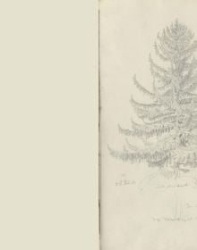 Book cover of The Oslo Sketchbook of 1807; featuring two sketches of trees. Published by Pallas Athene.