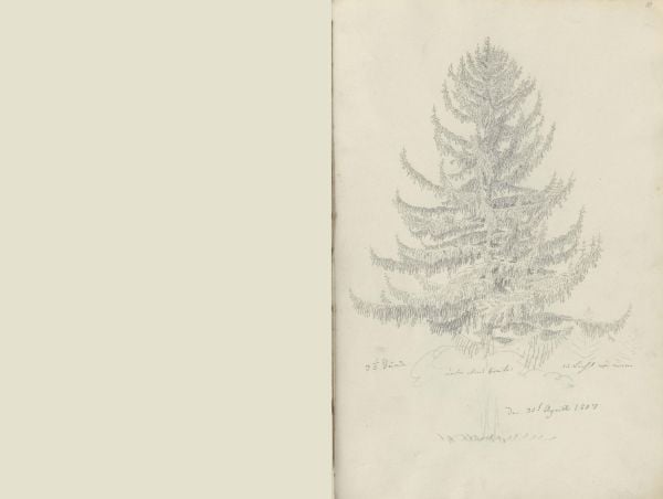 Book cover of The Oslo Sketchbook of 1807; featuring two sketches of trees. Published by Pallas Athene.