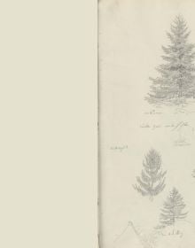Book cover of The Oslo Sketchbook of 1807; featuring two sketches of trees. Published by Pallas Athene.