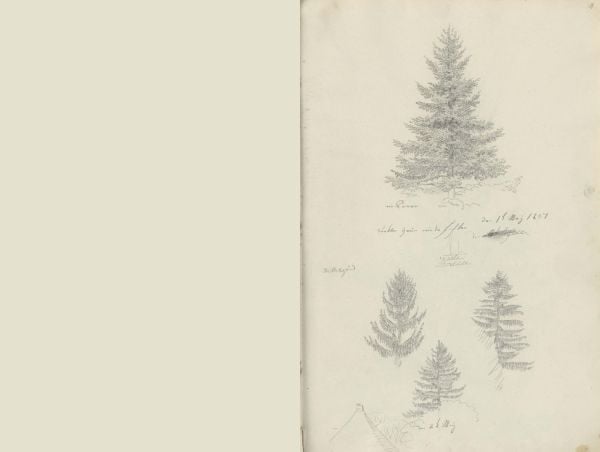 Book cover of The Oslo Sketchbook of 1807; featuring two sketches of trees. Published by Pallas Athene.