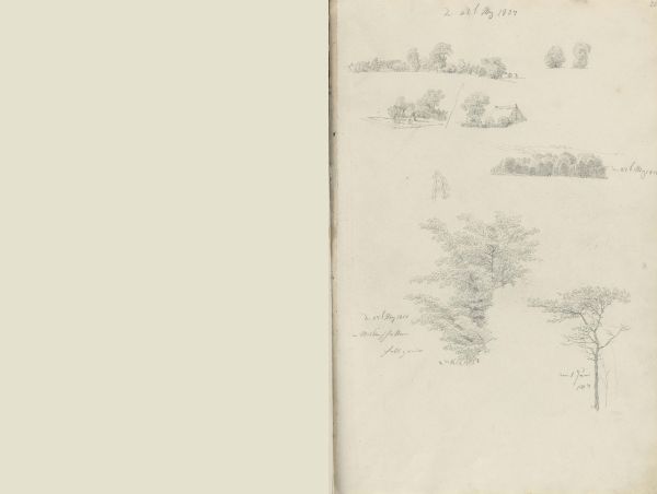 Book cover of The Oslo Sketchbook of 1807; featuring two sketches of trees. Published by Pallas Athene.