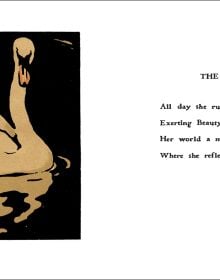 The Square Book of Animals