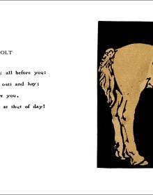 The Square Book of Animals