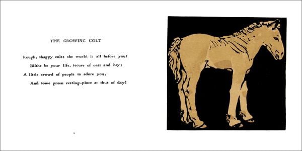 The Square Book of Animals