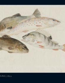 The Life of J. M. W. Turner