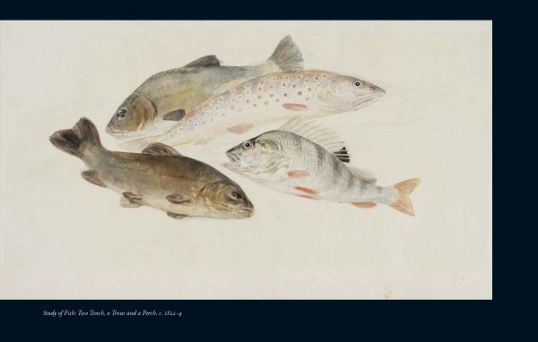 The Life of J. M. W. Turner