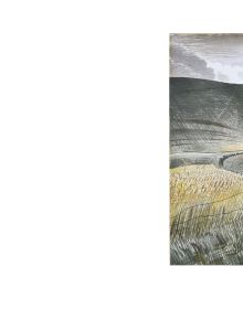 The Art of the Chalk Downs