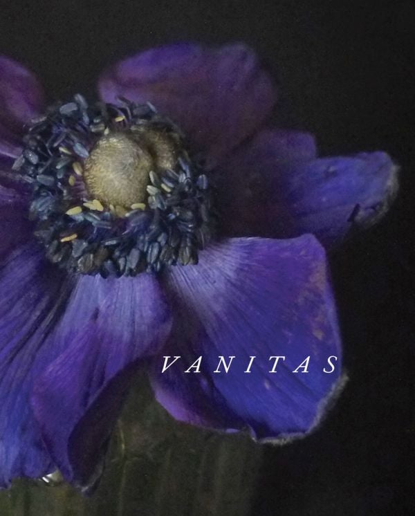 Vanitas