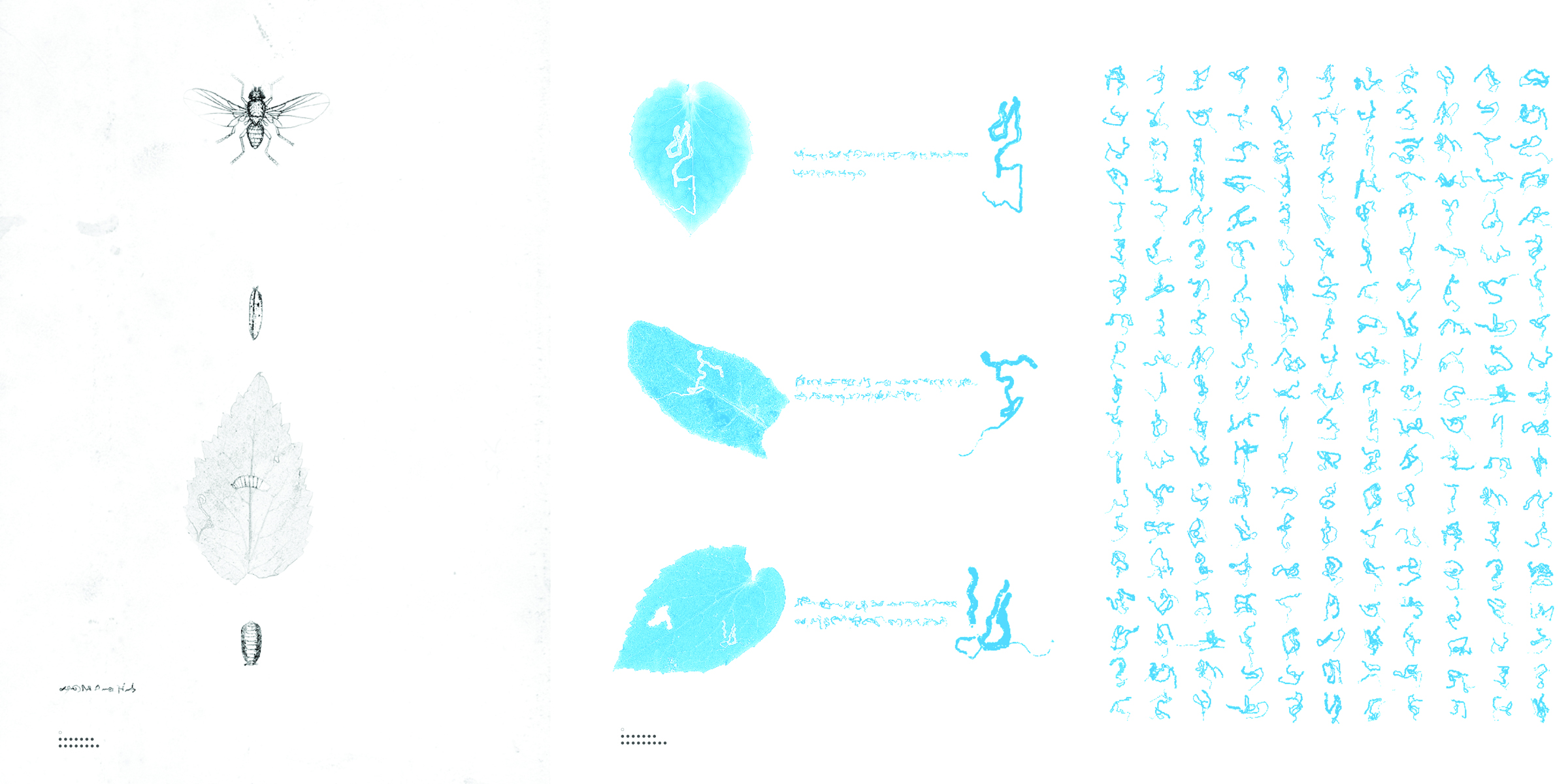 The Language of Bugs in squiggly white font on black and grey cover of Zhu Yingchun's 'The Language of Bugs', by ACC Art Books.