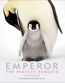Emperor penguin with flurry chick, on cover of 'Emperor The Perfect Penguin', by ACC Art Books.