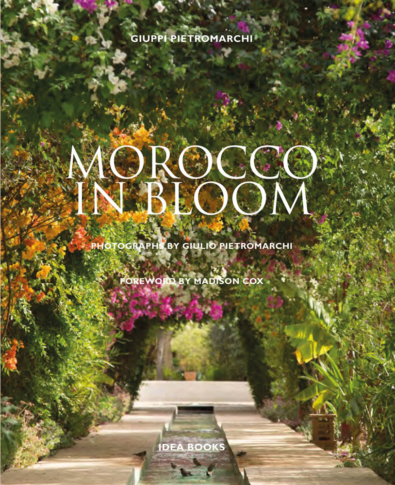 Beautiful colour photo of an exotic archway of Mediterranean flowering bougainvillea trees with Morocco in Bloom in white font