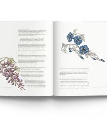 Small diamond encrusted jewellery piece with three larger gemstones, on cover of '21st-Century Jewellery Designers An Inspired Style', by ACC Art Books.