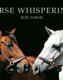 Two horses facing each other, one brown, one white, on black cover of 'Horse Whisperings', by ACC Art Books.