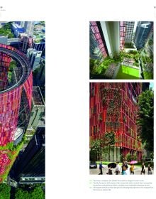 Going Green With Vertical Landscapes