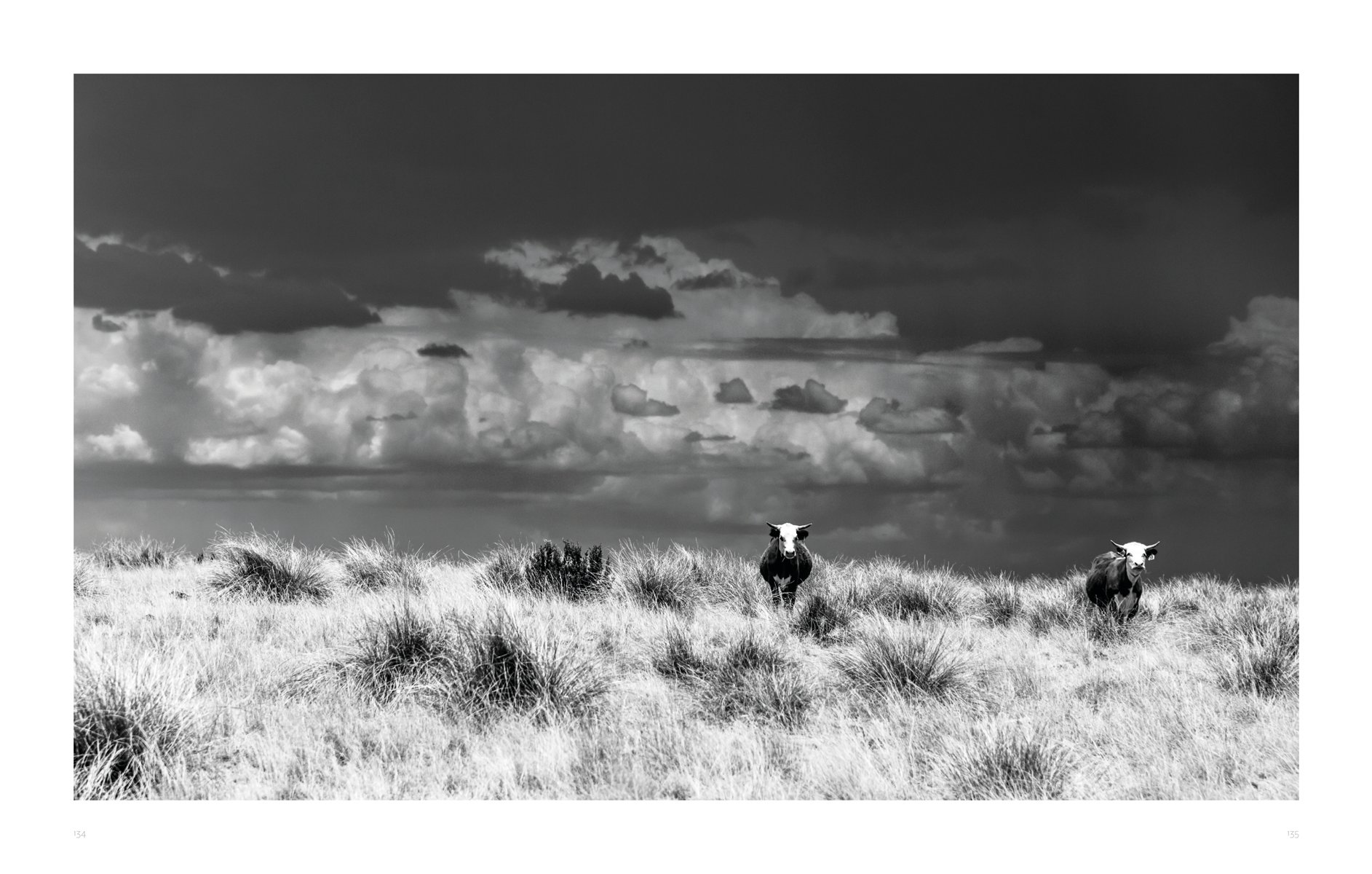 Book cover of West, The American Cowboy, featuring a cowboy on horseback on vast American landscape. Published by Images Publishing.