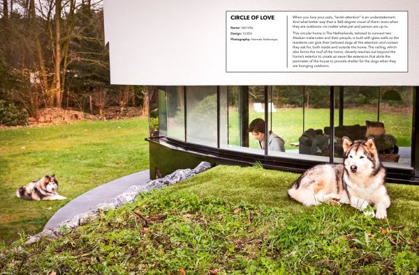 Fluffy white cat leaping out of clear dome doored bed inset in interior wall with For the Love of Pets in white font