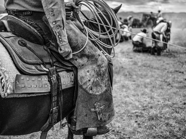 Book cover of Anouk Krantz’s Ranchland: Wagonhound, featuring a vast landscape, with horse and rider in foreground. Published by Images Publishing.