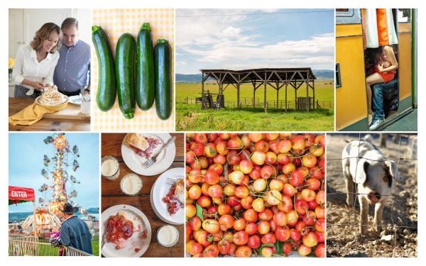 Book cover of County Fair: Nostalgic Blue Ribbon Recipes from America’s Small Towns, with a meringue pie in dish with bowl of oranges in background. Published by Images Publishing.