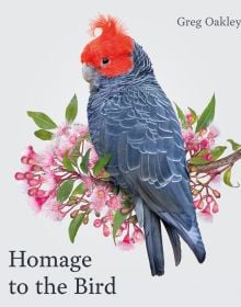 Australian gang-gang cockatoo with blue feathers and bright orange crest, sitting on branch of pink flowers, white cover, Homage to the Bird in black font to bottom left.