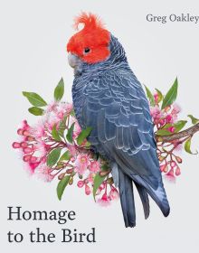 Australian gang-gang cockatoo with blue feathers and bright orange crest, sitting on branch of pink flowers, white cover, Homage to the Bird in black font to bottom left.