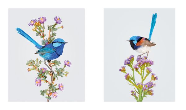 Book cover of Homage to the Bird, featuring an Australian gang-gang cockatoo with blue feathers and bright orange crest, sitting on branch of pink flowers. Published by Images Publishing.