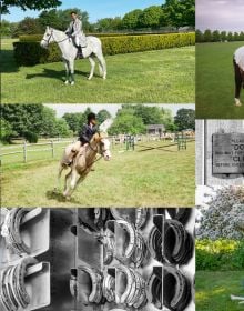 Two white horses grazing in front of single storey house, with topiary hedges, on cover of 'Equestrian Life in the Hamptons', by Images Publishing.