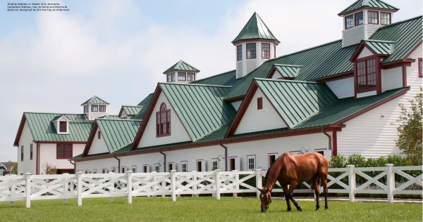 Book cover of Equestrian Life in the Hamptons, with two white horses grazing in front of house surrounded by topiary hedges. Published by Images Publishing.