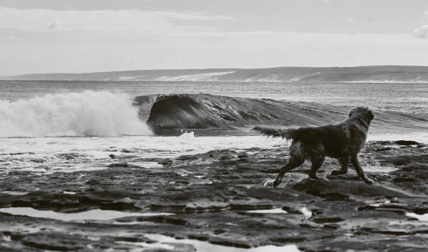 Book cover of Life Around the Sea: Capturing the Heart of Australian Surf Culture, with the waves of the sea, and land behind. Published by Images Publishing.