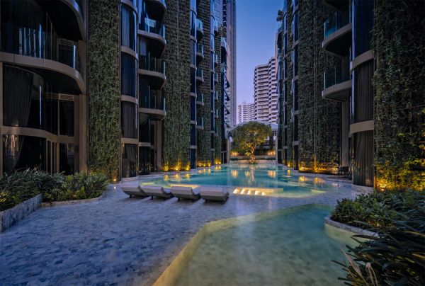 Book cover of TROP terrains + open space: Works 2007–2023, with the top of a building roof, with two spaces holding large trees. Published by Images Publishing.