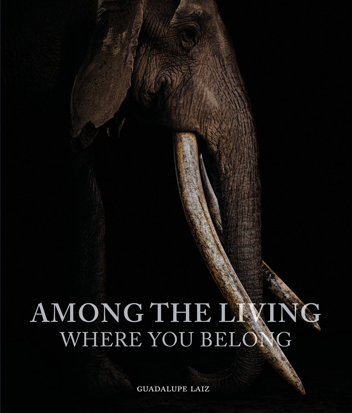 Among the Living - ACC Art Books UK