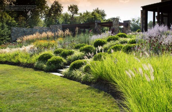 Book cover of Enduring Gardens: The Tame and the Wild; featuring a landscaped garden with swimming pool, and fire pit. Published by Images Publishing.