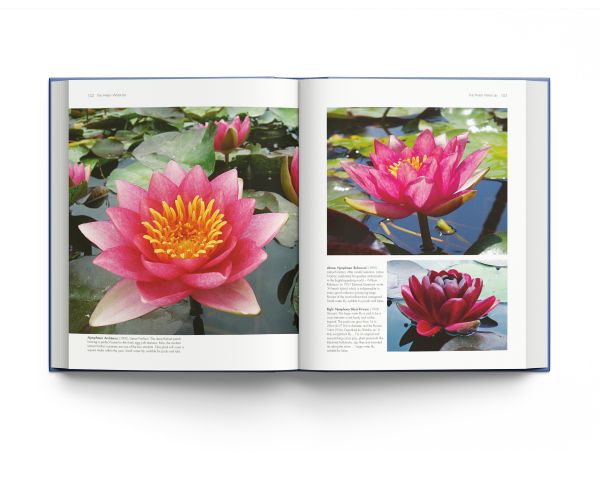 Book cover of Water Lilies: and Bory Latour-Marliac, the Genius Behind Monet's Water Lilies, with two pink lilies floating on blue water with green lily pads. Published by ACC Art Books.