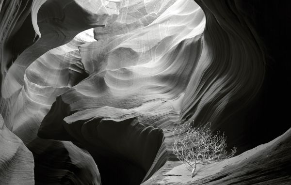 Book cover of Jon Ortner's Visions of Paradise: American Wilderness, with a waterfall. Published by Images Publishing.