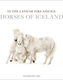 In the Land of Fire and Ice