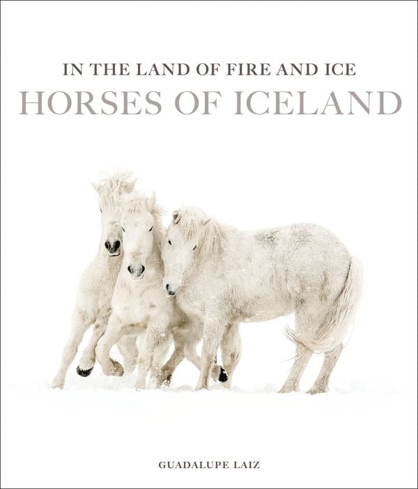 Book cover of In the Land of Fire and Ice: Horses of Iceland; featuring three white horses playing in the snow. Published by Images Publishing.
