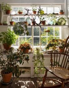 Book cover of Kettle's Yard House Guidebook; with a painting of green foliage on a circular canvas, surrounded by a collection of indoor plants. Published by Kettle's Yard, University of Cambridge.