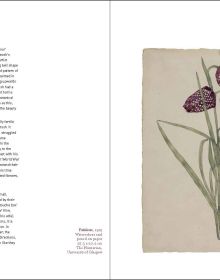 Book cover of Handpicked: Painting Flowers from 1900 to Today; with a painting of white flowers in a glass vessel. Published by Kettle's Yard, Cambridge.