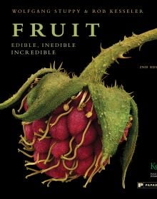 Book cover of Fruit: Edible, Inedible, Incredible, with close-up of raspberry. Published by Papadakis.