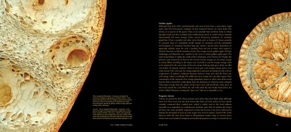 Book cover of Fruit: Edible, Inedible, Incredible, with close-up of raspberry. Published by Papadakis.