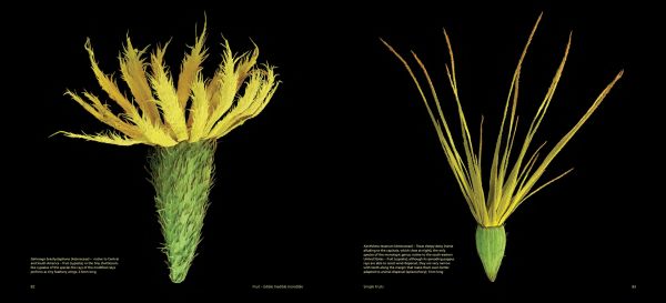 Book cover of Fruit: Edible, Inedible, Incredible, with close-up of raspberry. Published by Papadakis.