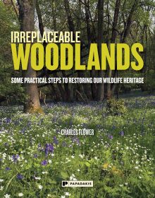 Book cover of Charles Flower's Irreplaceable Woodlands: Some Practical Steps to Restoring our Wildlife Heritage, with a woodland with bluebells. Published by Papadakis.