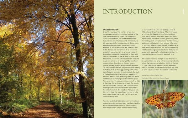 Book cover of Charles Flower's Irreplaceable Woodlands: Some Practical Steps to Restoring our Wildlife Heritage, with a woodland with bluebells. Published by Papadakis.