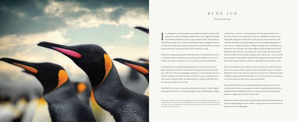 Book cover of Blue Ice, with snow covered mountains and a line of penguins below. Published by Papadakis.