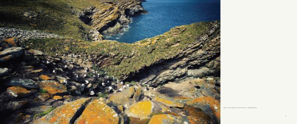 Book cover of Blue Ice, with snow covered mountains and a line of penguins below. Published by Papadakis.