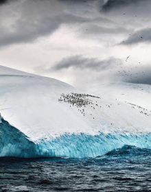 Book cover of Blue Ice, with snow covered mountains and a line of penguins below. Published by Papadakis.