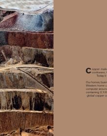 Book cover of Industrial Scars: The Hidden Costs of Consumption. Published by Papadakis.