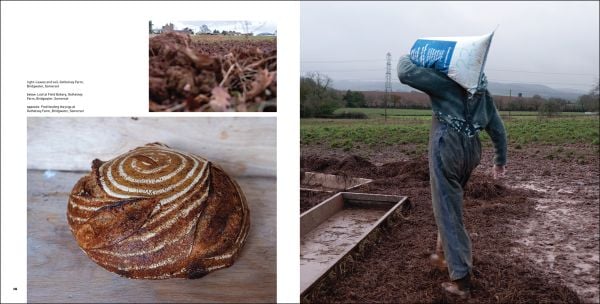 Book cover of We Feed The UK: Groundbreaking stories, told through radical collaboration between the arts and agroecology: with a community gardener. Published by Papadakis.