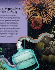 100 Plants That (Almost) Changed The World