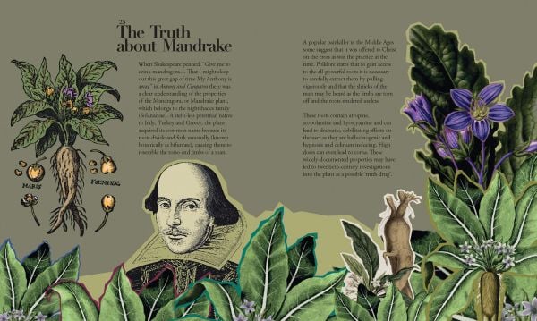 Book cover of 100 Plants That (Almost) Changed The World; featuring a variety of plants, including a lily. Published by Papadakis.